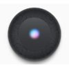 homepod mini black MyTechpoint.lk